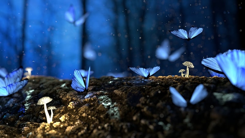 Enchanted Landmarks